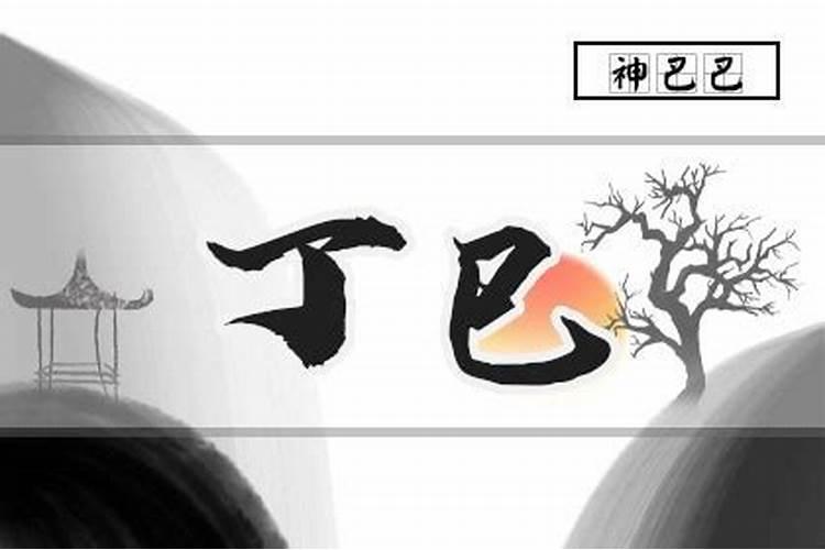三命通会:丁巳日不同时辰生人的命运解析