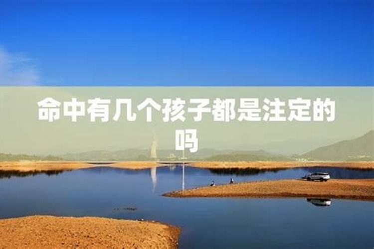 命中有几个孩子查询表免费 测测自己会有几个子女