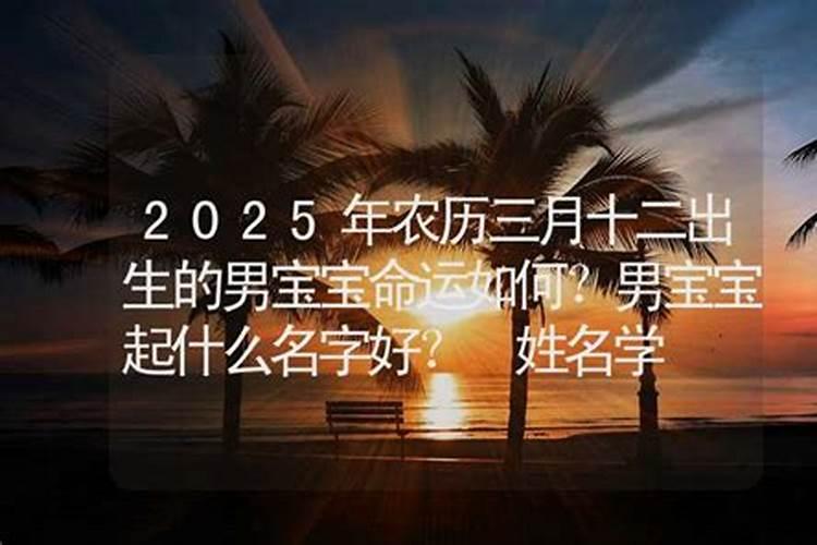 2024年正月十二出生的男孩命运 今日出生一生大运