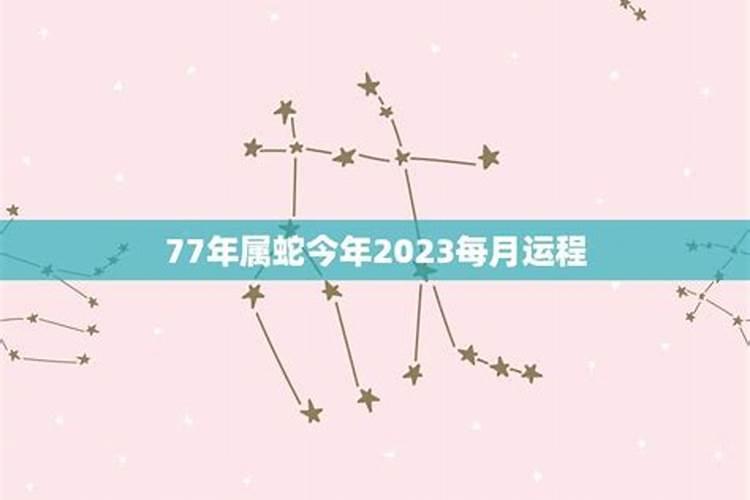 梦见村里全部都是蛇