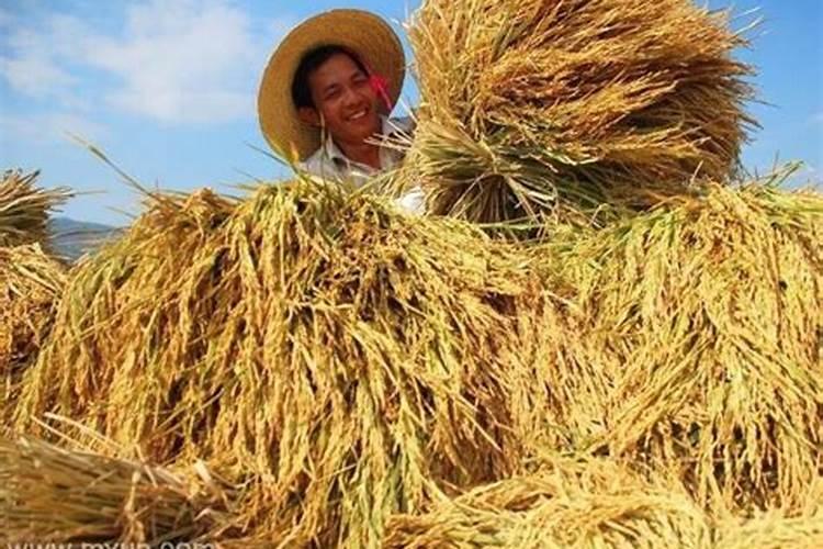 桃花煞是什么意思