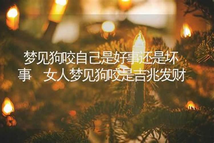 梦见打死狗有什么预兆