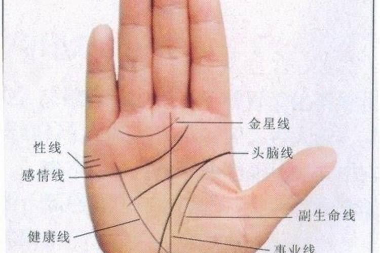梦见与妹妹一同出游的预兆