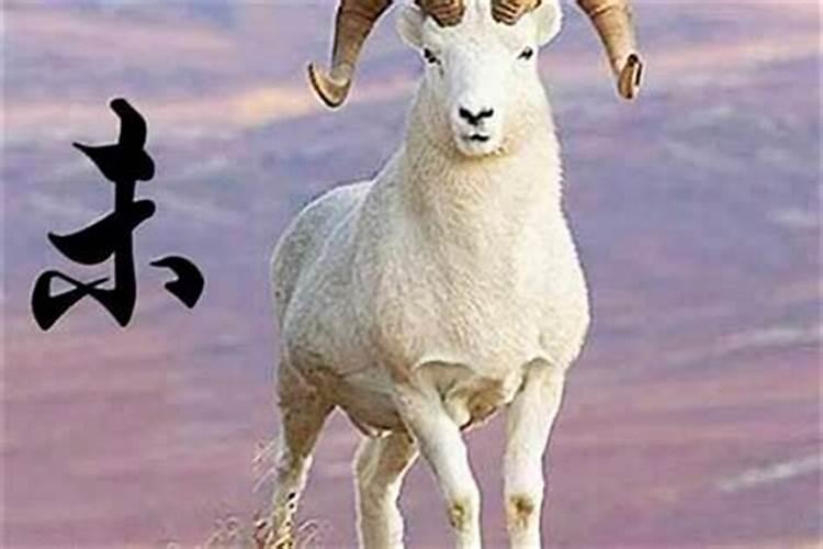 披麻在八字中代表什么意思