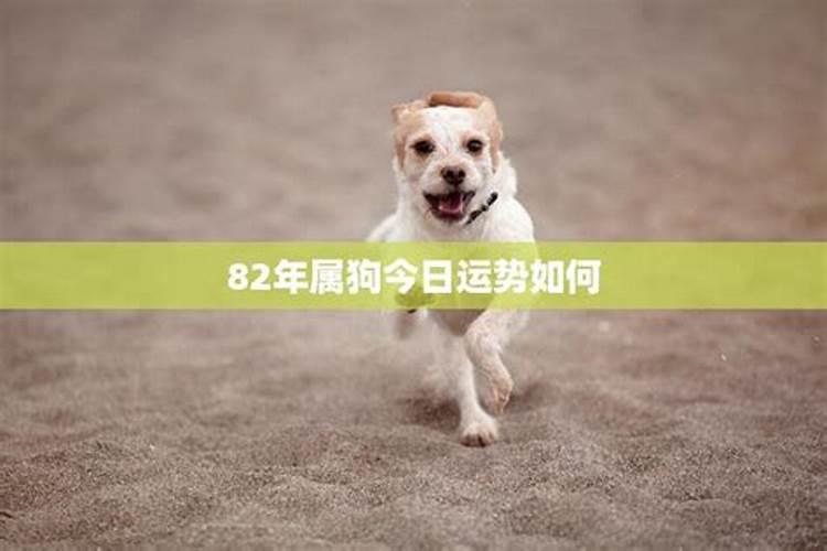 家里摆放财神和佛像可以吗 家里摆放财神和佛像好不好