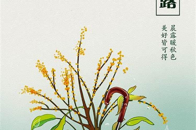 白露秋分是什么意思