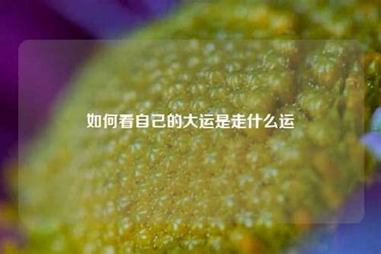 算命婚姻属相配对属鸡,属鼠和属牛的婚姻如何
