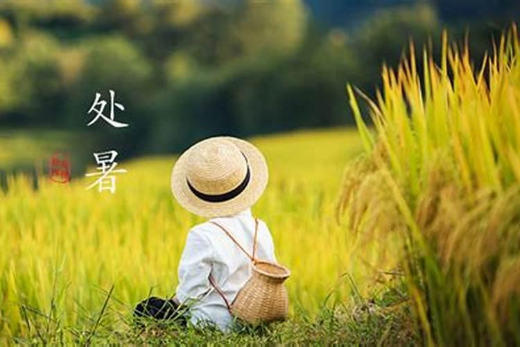 立秋和处暑是什么意思？