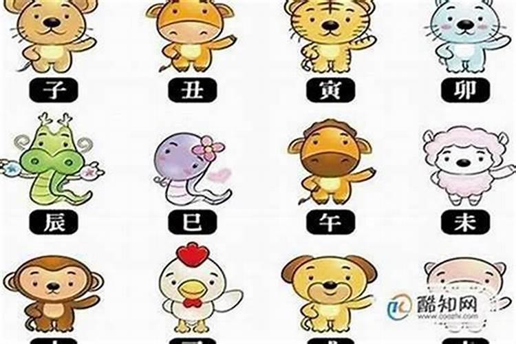 人在本命年运气怎么样