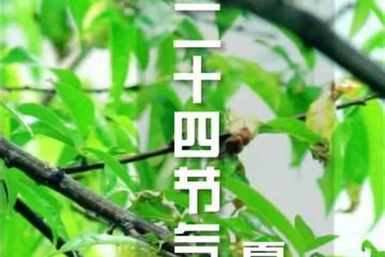 夏至的由来:最早确立的节气竟然是它!