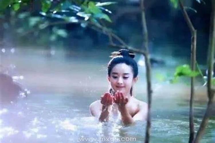 梦见猛兽是什么寓意