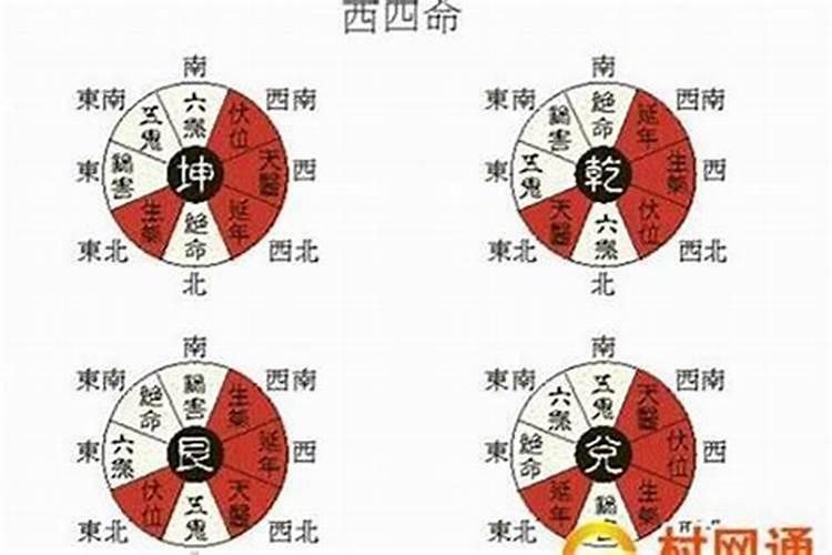 百度上生辰八字算命是真的吗