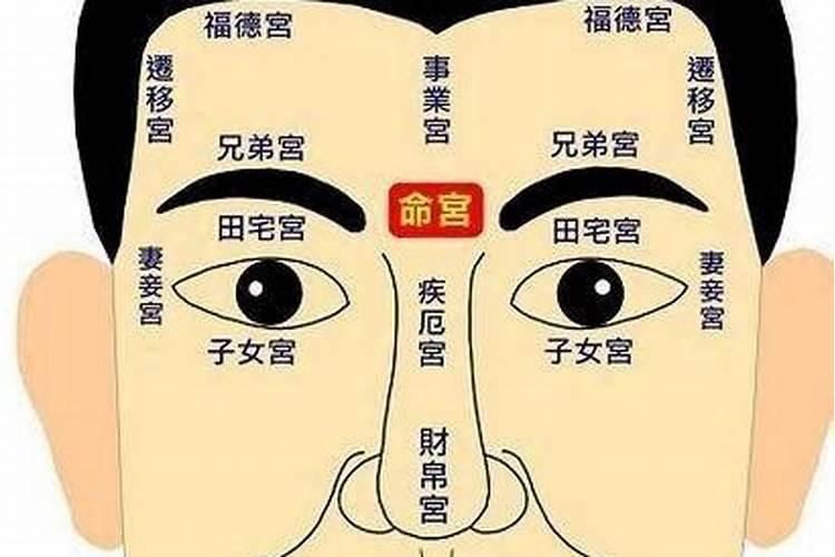79年属羊2025年每月运势