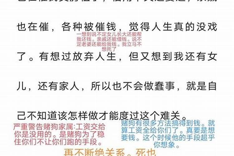 属羊人2025年全年运势 1979年