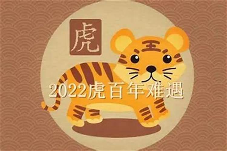 属虎在今年运气怎么样？