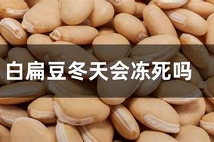 扁食的来历和传说是什么？