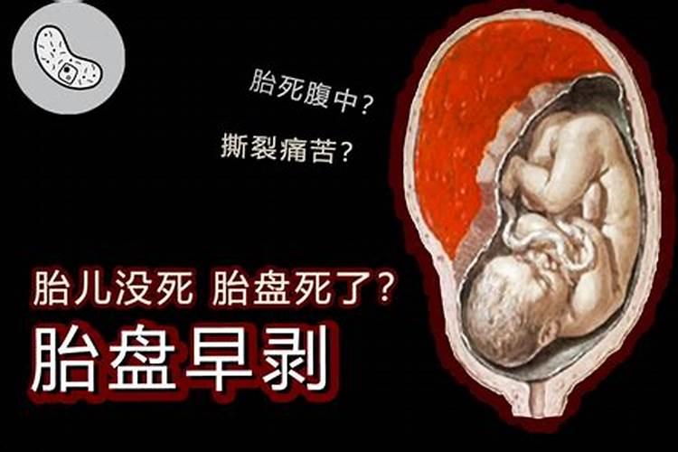 1982年5月初五下午1点到3点生的人的婚姻与命运,女孩