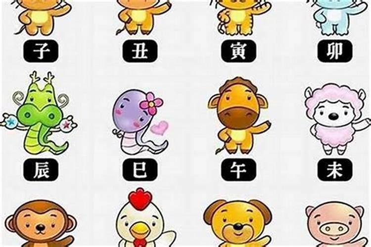 男朋友是87年属兔的,我是89年属蛇的请问合不合