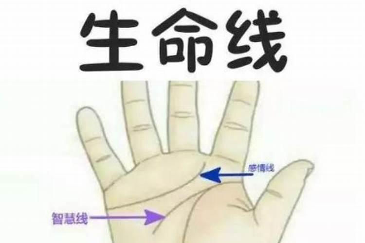 三月三的三月三活动