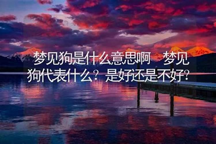 已婚女人梦到狗好不好解梦