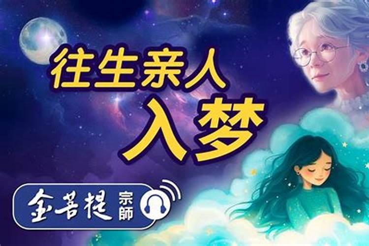 婚动是什么意思
