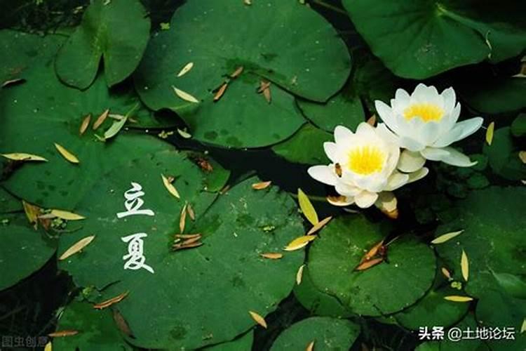 元宵节的意义英文介绍