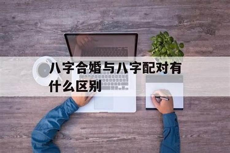 江西新建特产:清明酒