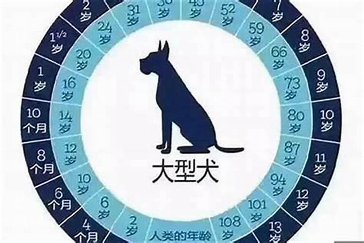 1994年农历11月19日出生的人的命格如何？(女)