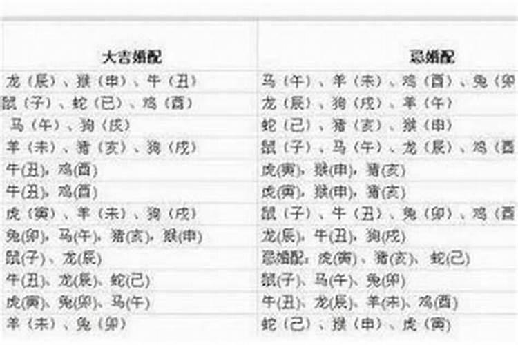 1982年属狗男和1984属鼠女婚姻状况