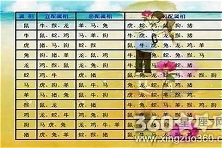 六五年男属蛇要什么属相婚配最好