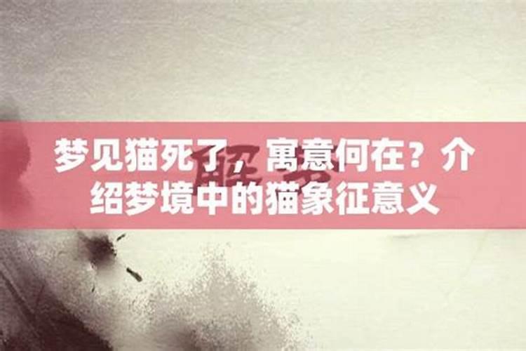 关于2023本命年说说心情句子