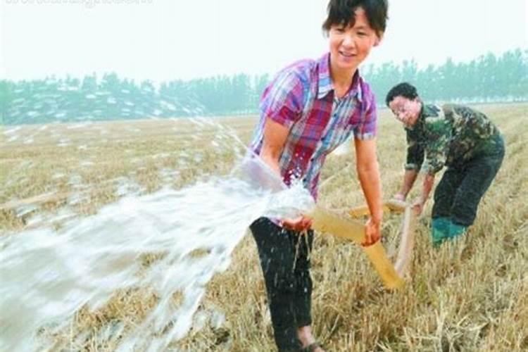 梦见水浇地的预兆