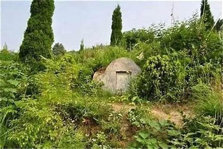 属马和属什么婚配最好