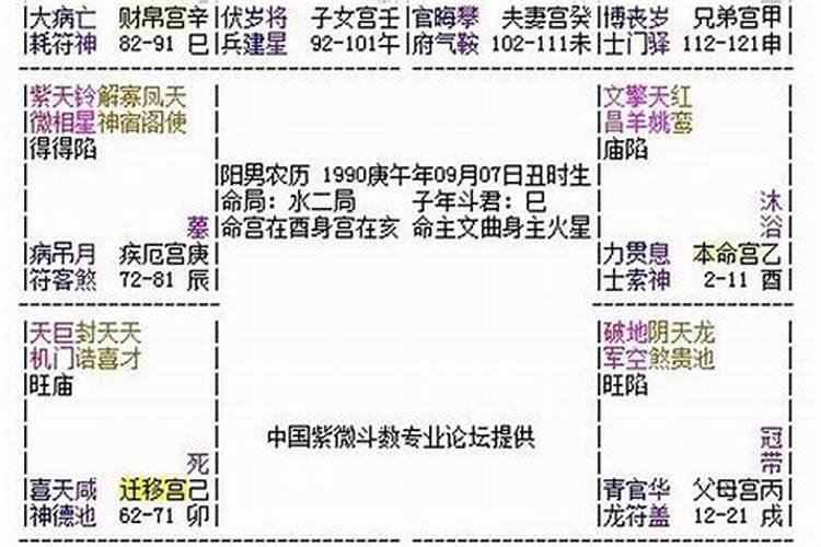 属羊1979年是什么命