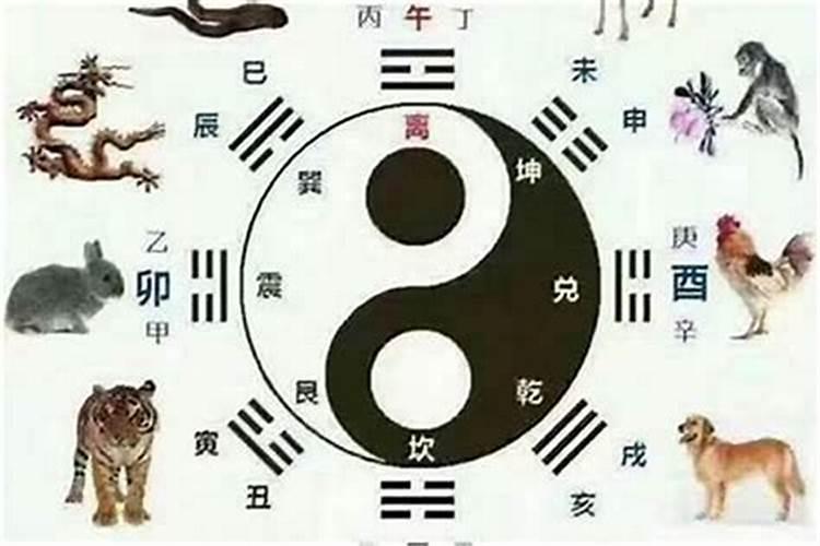为什么老人都说属猫不能和属鼠在一起,在一起不会幸福呢!