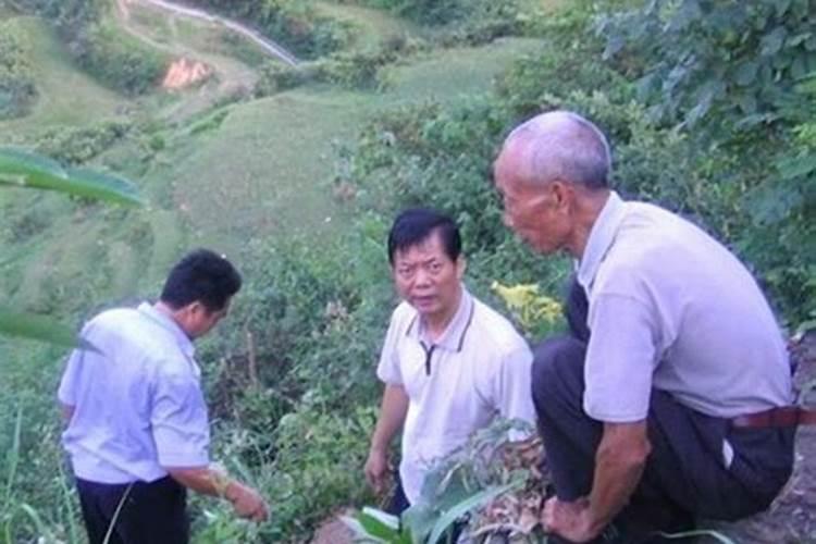 阜阳市的烈士陵园 或公墓在哪？？