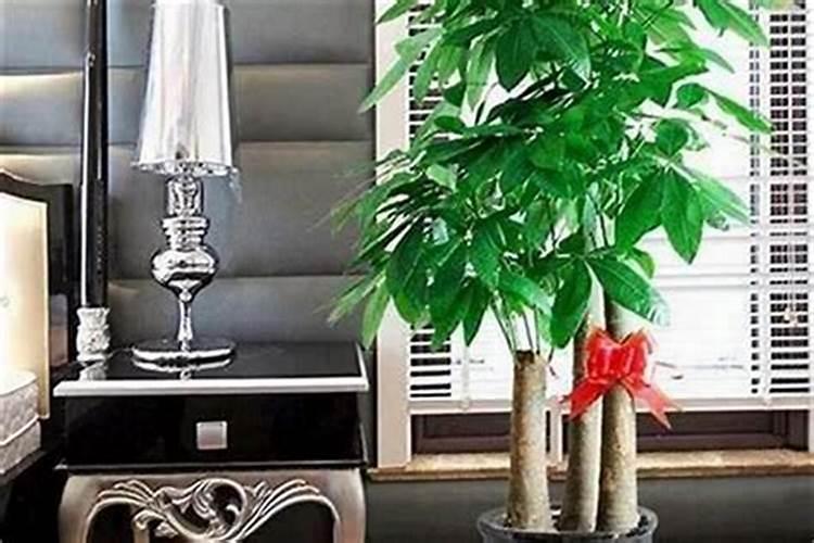 家中收藏刀具风水上有害吗