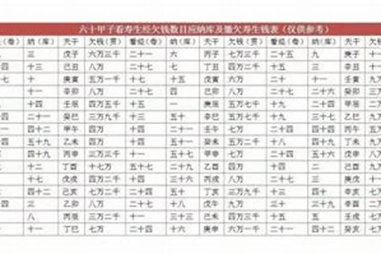 冬至扫墓的作文提纲