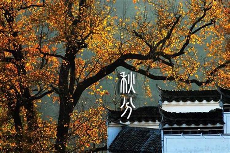 90年属马运势和婚姻