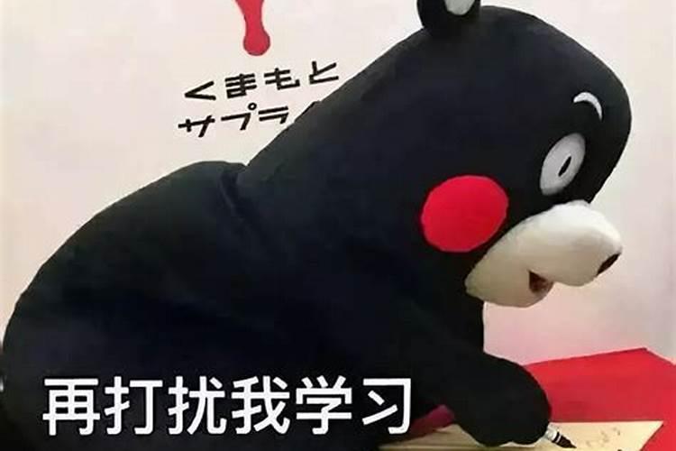 舍友在宿舍总是拿公共吹风筒吹袜子吹内裤,味道很大怎么办？