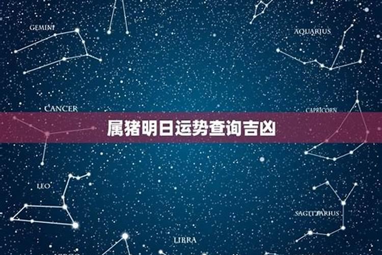 生肖属猪的今日运势