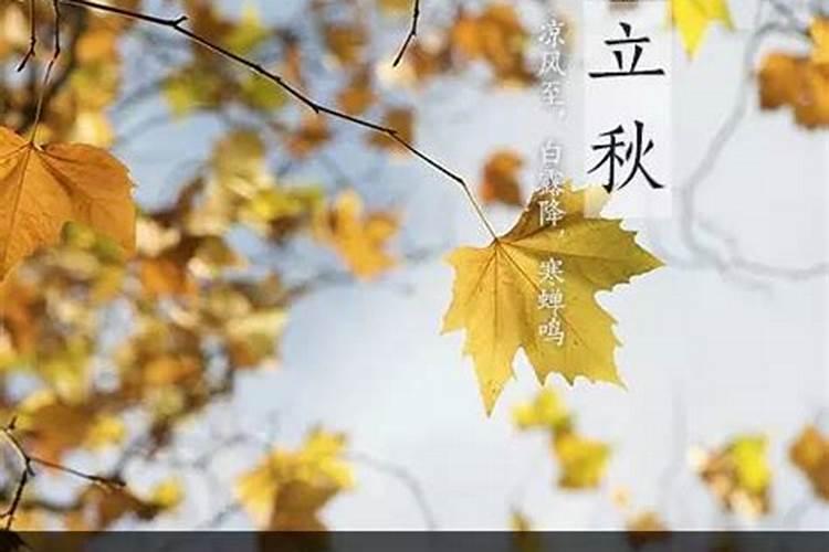 苏州立秋吃什么