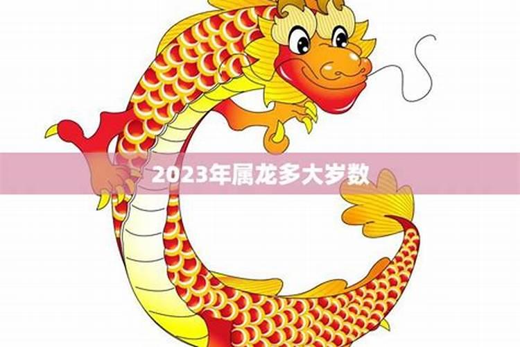 生肖兔1987年出生2025几岁了