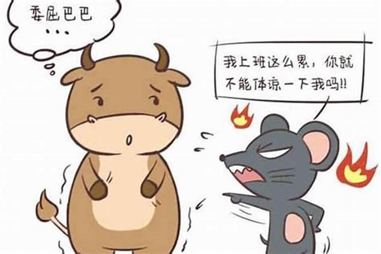 男属牛女属鼠婚配好吗