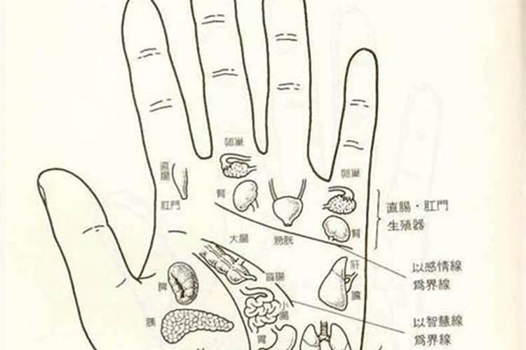 梦见老婆被车撞了