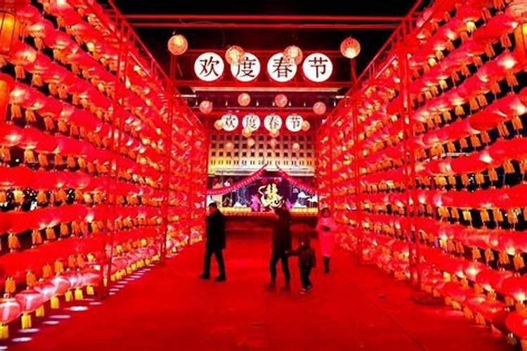 梦见蛇在家里不出去的预兆