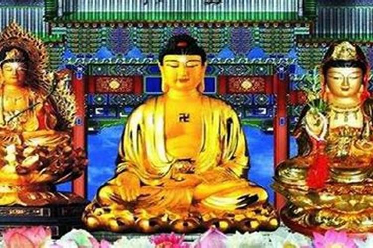 早清明晚十一什么意思