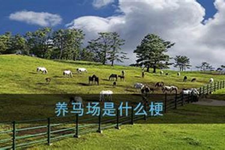 广西的道士是不是真的