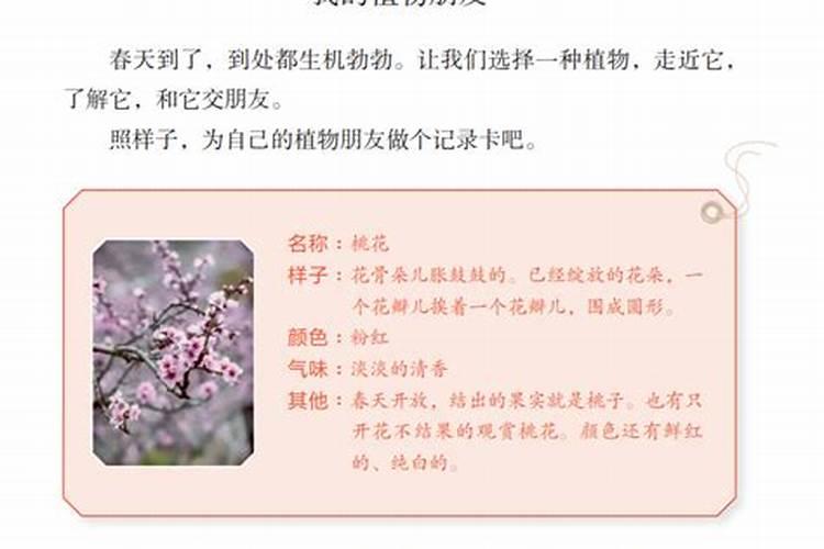 寒衣节的风俗有哪些
