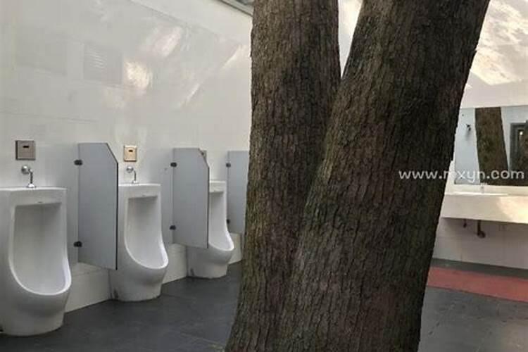 童子的孩子命运怎么样